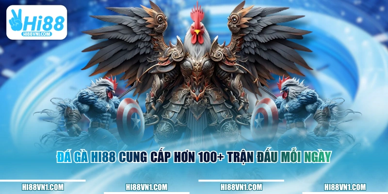 Đá gà HI88 cung cấp hơn 100+ trận đấu mỗi ngày